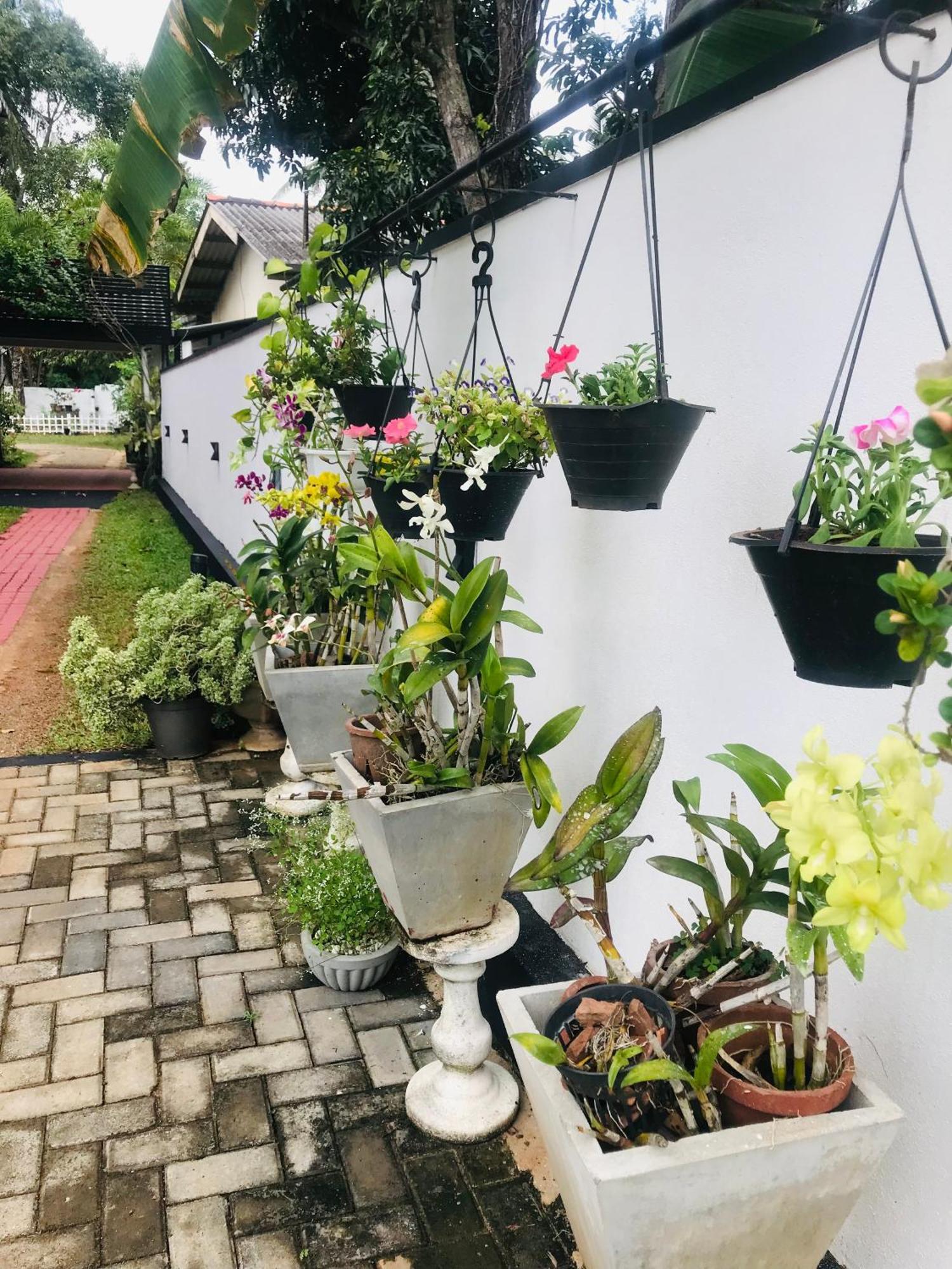 Pinidiya Resort Anuradhapura Exterior photo